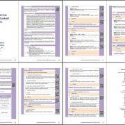Las 8 páginas del documento "Quidditch en los colegios" presentado al compendio "74 propuestas prácticas de educación física"